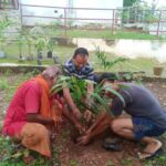 IMG-20240822-WA0007