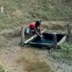 IMG-20241018-WA0007